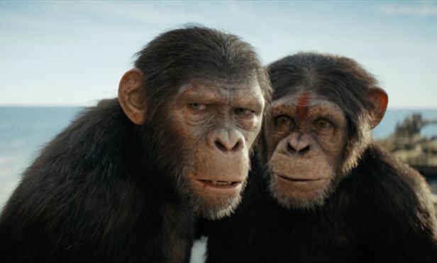 "Planet of the Apes" to Return With Director Matt Shakman at the Helm
