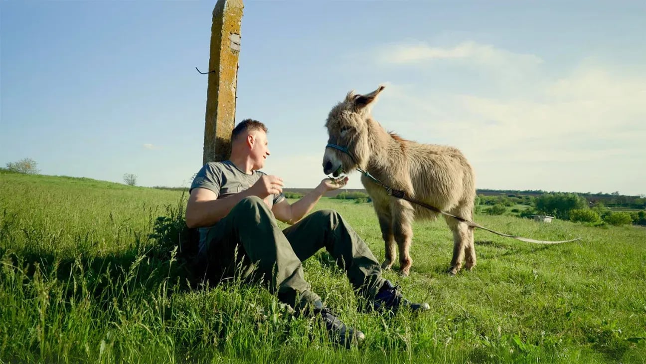 War and Welcoming Arms: Ukraine's Animal Sanctuary Amidst Conflict