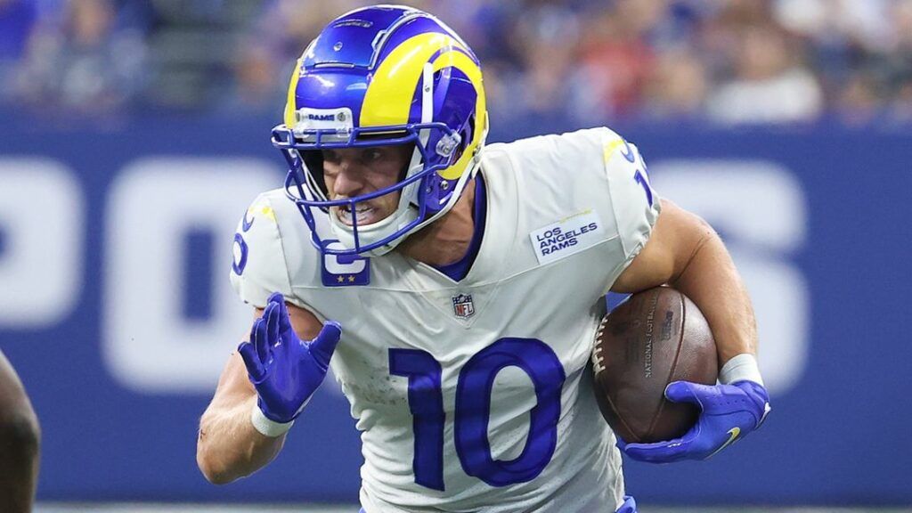 NFL Standings: Playoff Preview