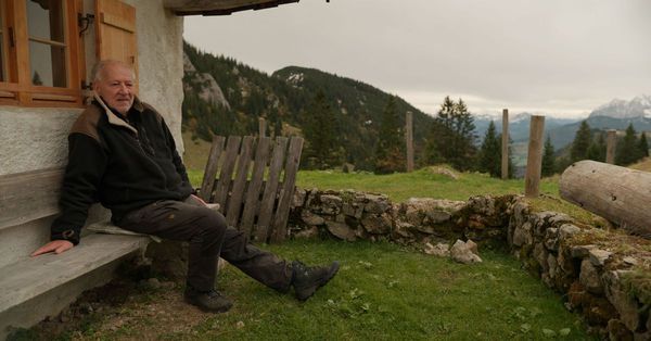 "Unraveling the Enigma: Werner Herzog, The Misunderstood Maverick"