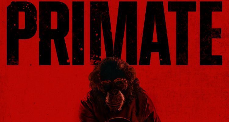 A Tribute to the Unsung Heroes of Cinema: Primate