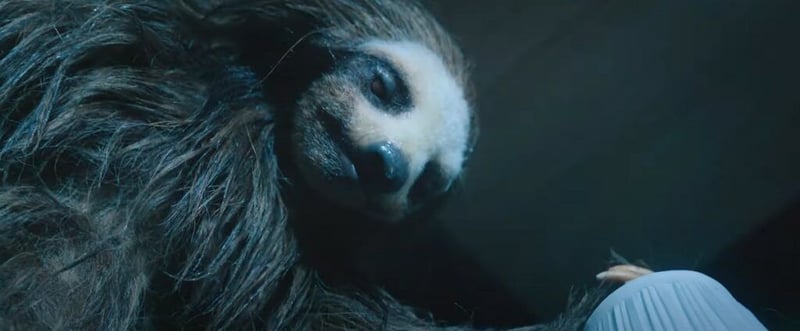 Slotherhouse (2023) - Movie Review