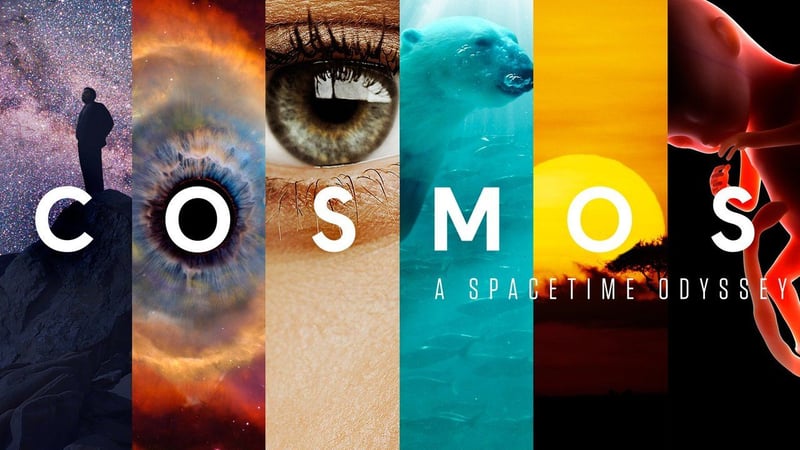 The Best Educational TV Shows to Watch