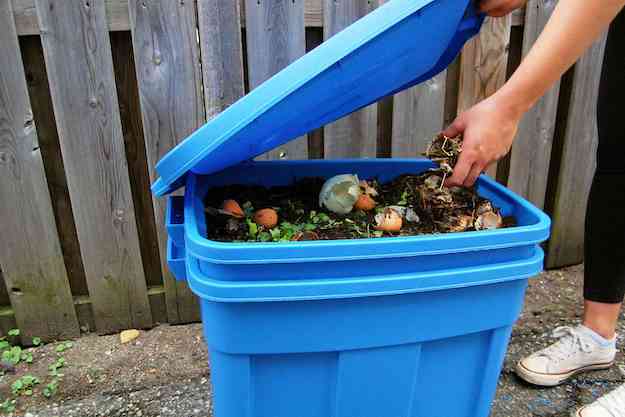 How to Prevent Food Waste